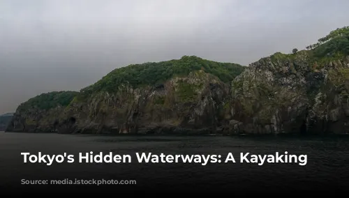 Tokyo's Hidden Waterways: A Kayaking Adventure