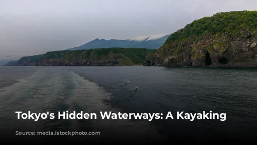 Tokyo's Hidden Waterways: A Kayaking Adventure