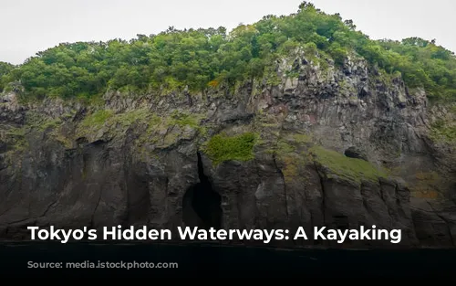 Tokyo's Hidden Waterways: A Kayaking Adventure