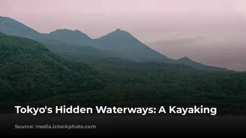 Tokyo's Hidden Waterways: A Kayaking Adventure