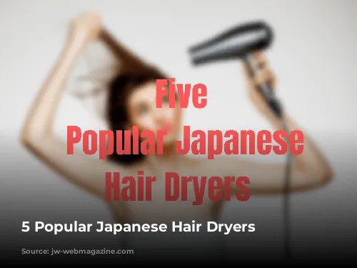 5 Popular Japanese Hair Dryers