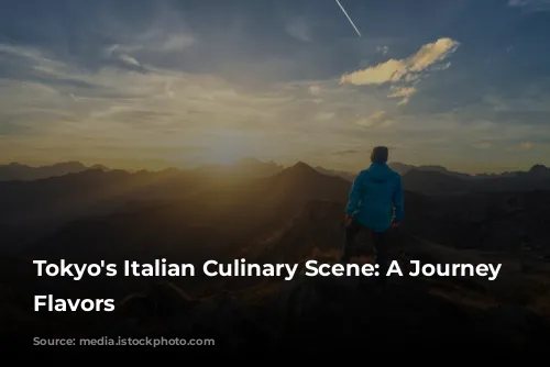 Tokyo's Italian Culinary Scene: A Journey Through Flavors