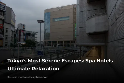 Tokyo's Most Serene Escapes: Spa Hotels for Ultimate Relaxation