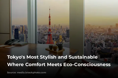 Tokyo's Most Stylish and Sustainable Hotels: Where Comfort Meets Eco-Consciousness