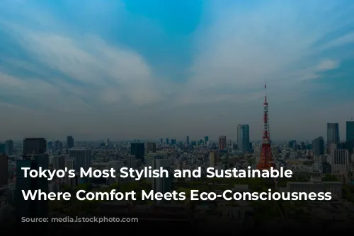 Tokyo's Most Stylish and Sustainable Hotels: Where Comfort Meets Eco-Consciousness