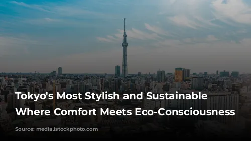 Tokyo's Most Stylish and Sustainable Hotels: Where Comfort Meets Eco-Consciousness