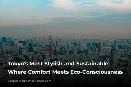 Tokyo's Most Stylish and Sustainable Hotels: Where Comfort Meets Eco-Consciousness