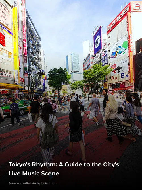 Tokyo's Rhythm: A Guide to the City's Vibrant Live Music Scene