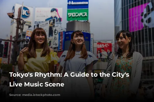 Tokyo's Rhythm: A Guide to the City's Vibrant Live Music Scene