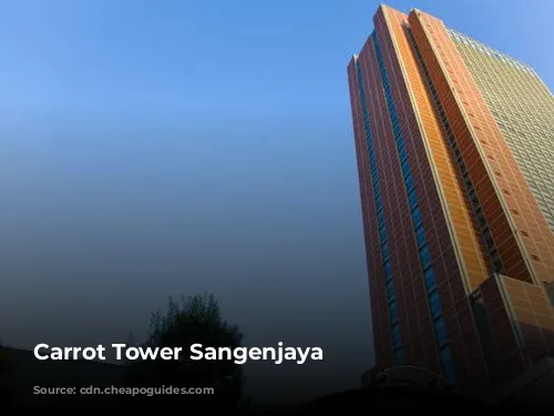 Carrot Tower Sangenjaya