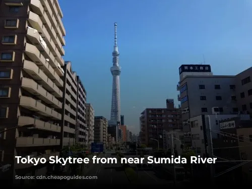 Tokyo Skytree from near Sumida River