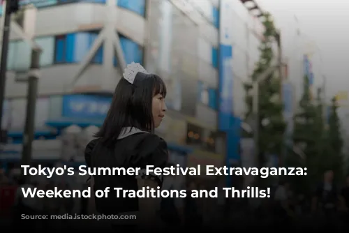 Tokyo's Summer Festival Extravaganza: A Weekend of Traditions and Thrills!