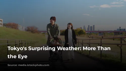 Tokyo's Surprising Weather: More Than Meets the Eye