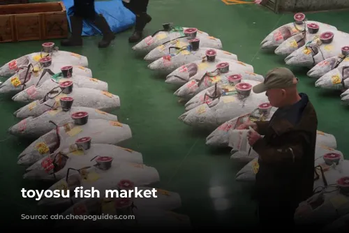 toyosu fish market