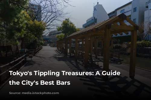 Tokyo's Tippling Treasures: A Guide to the City's Best Bars