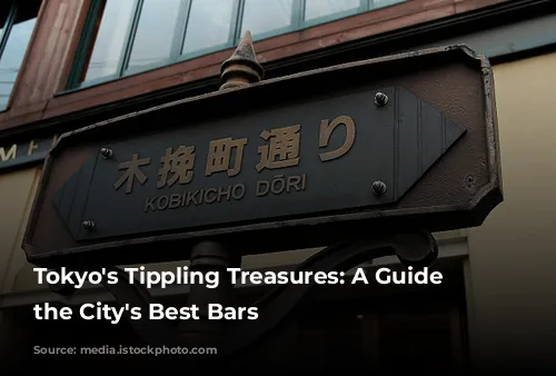 Tokyo's Tippling Treasures: A Guide to the City's Best Bars