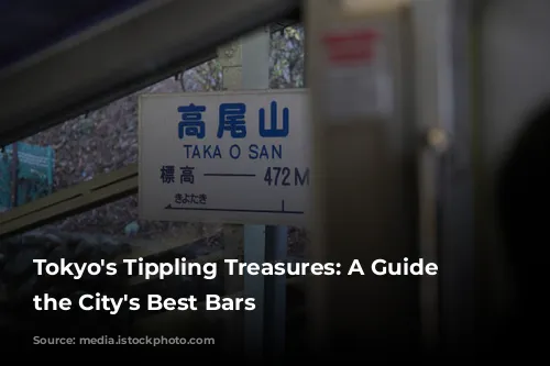 Tokyo's Tippling Treasures: A Guide to the City's Best Bars