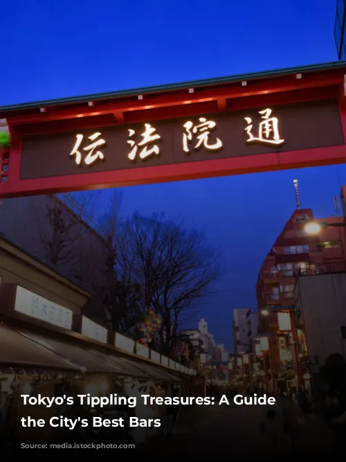 Tokyo's Tippling Treasures: A Guide to the City's Best Bars