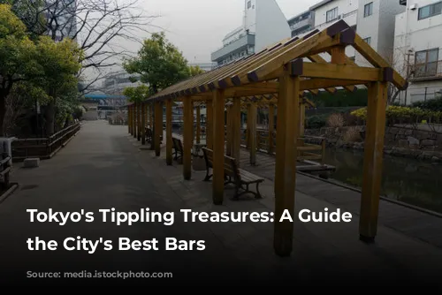 Tokyo's Tippling Treasures: A Guide to the City's Best Bars