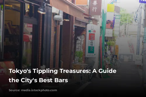 Tokyo's Tippling Treasures: A Guide to the City's Best Bars