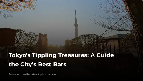 Tokyo's Tippling Treasures: A Guide to the City's Best Bars