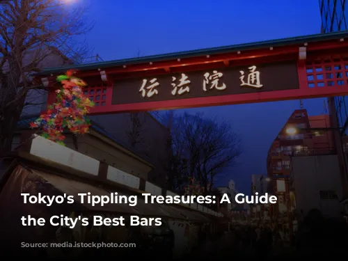 Tokyo's Tippling Treasures: A Guide to the City's Best Bars