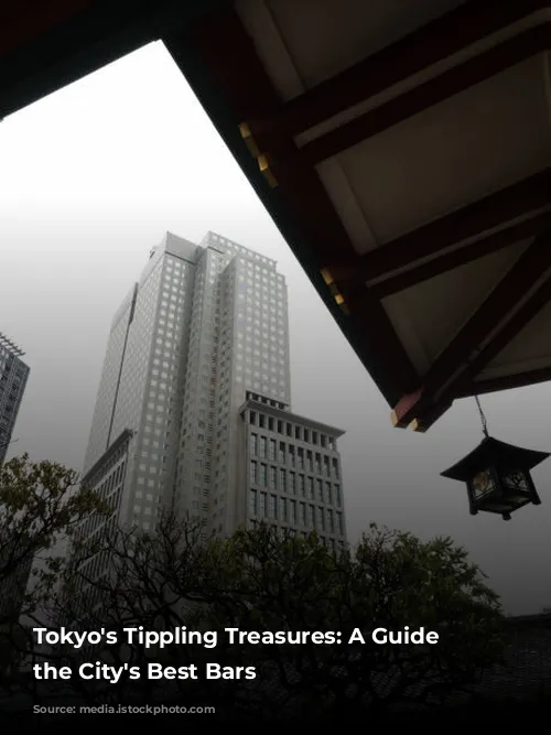 Tokyo's Tippling Treasures: A Guide to the City's Best Bars