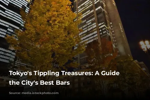 Tokyo's Tippling Treasures: A Guide to the City's Best Bars