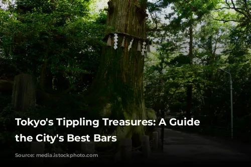 Tokyo's Tippling Treasures: A Guide to the City's Best Bars