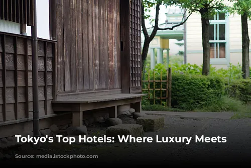 Tokyo's Top Hotels: Where Luxury Meets Culture