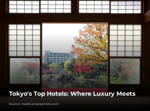 Tokyo's Top Hotels: Where Luxury Meets Culture