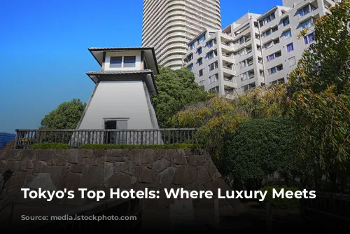 Tokyo's Top Hotels: Where Luxury Meets Culture