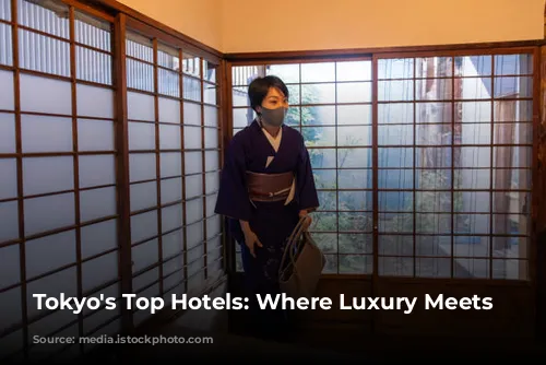 Tokyo's Top Hotels: Where Luxury Meets Culture