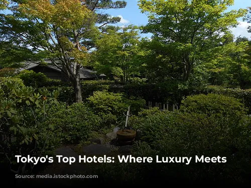 Tokyo's Top Hotels: Where Luxury Meets Culture