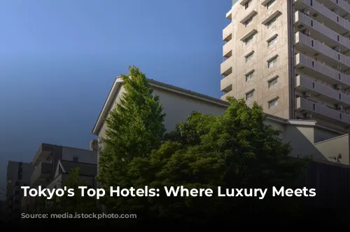 Tokyo's Top Hotels: Where Luxury Meets Culture