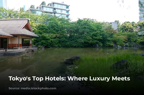 Tokyo's Top Hotels: Where Luxury Meets Culture