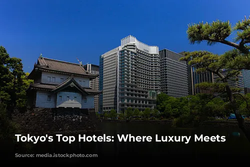 Tokyo's Top Hotels: Where Luxury Meets Culture