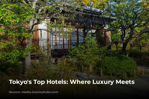 Tokyo's Top Hotels: Where Luxury Meets Culture