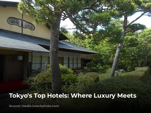 Tokyo's Top Hotels: Where Luxury Meets Culture