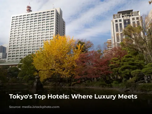 Tokyo's Top Hotels: Where Luxury Meets Culture