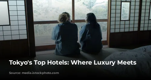 Tokyo's Top Hotels: Where Luxury Meets Culture