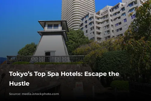 Tokyo’s Top Spa Hotels: Escape the City Hustle