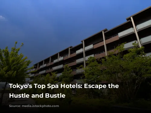 Tokyo's Top Spa Hotels: Escape the City's Hustle and Bustle