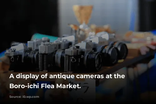 A display of antique cameras at the Setagaya Boro-ichi Flea Market.