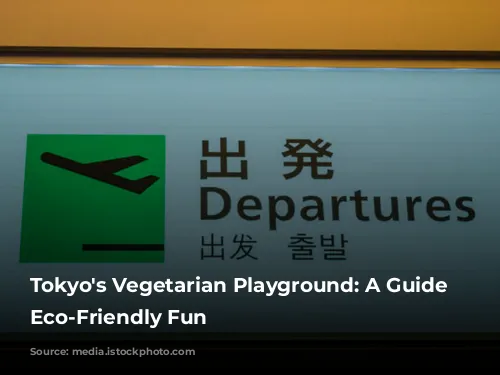 Tokyo's Vegetarian Playground: A Guide to Eco-Friendly Fun