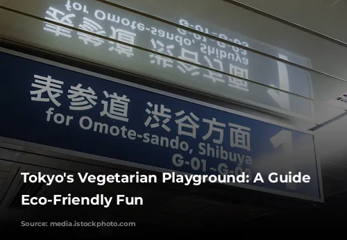 Tokyo's Vegetarian Playground: A Guide to Eco-Friendly Fun