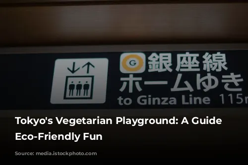 Tokyo's Vegetarian Playground: A Guide to Eco-Friendly Fun