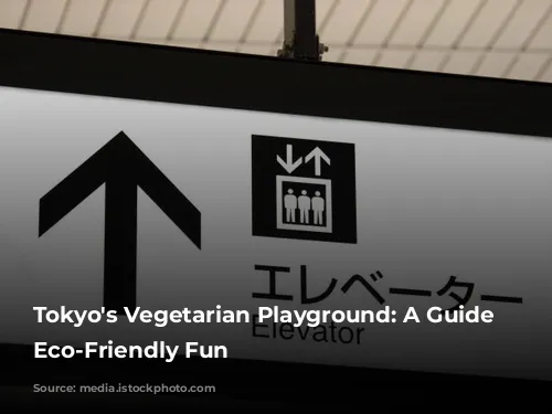 Tokyo's Vegetarian Playground: A Guide to Eco-Friendly Fun