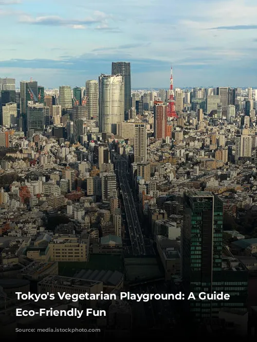 Tokyo's Vegetarian Playground: A Guide to Eco-Friendly Fun