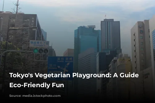 Tokyo's Vegetarian Playground: A Guide to Eco-Friendly Fun